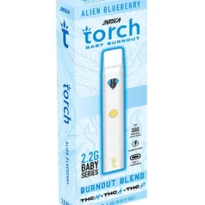 Alien Blueberry Torch BaBurnout Blend Disposable 2.2G