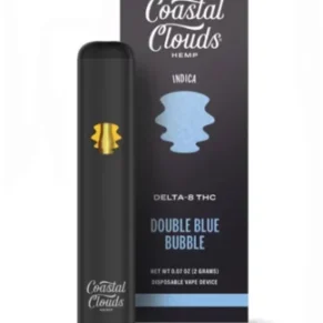 Double Blue Bubble Coastal Clouds Delta 8 THC Disposable Vape 2G