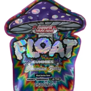 Bohemian Berry Float Mushroom Gummies + Delta 9 THC