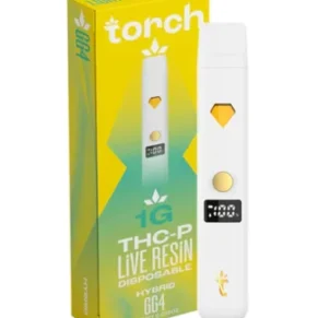 GG4 Torch THC-P Live Resin Disposable 1G