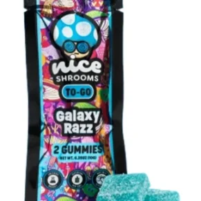 Galaxy Razz Nice Shrooms To-Go Mushroom Gummies 2ct