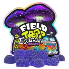 Grape Field Trip Psychedelic Mushroom Gummies