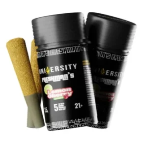 Lemon Cherry Gelato University Freshman’s THCA Indoor Prerolls with Kief 3.5g