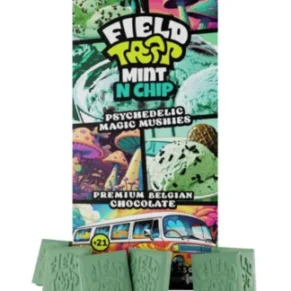 Mint N Chip Field Trip Magic Mushies Premium Belgian Chocolate