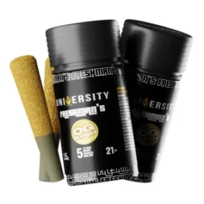 OG Kush University Freshman’s THCA Indoor Prerolls with Kief 3.5g