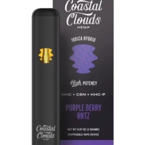 Purple Berry RNTZ Coastal Clouds High Potency HHC+CBN+HHC-P Disposable Vape 2G