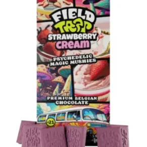 Strawberry Cream Field Trip Magic Mushies Premium Belgian Chocolate
