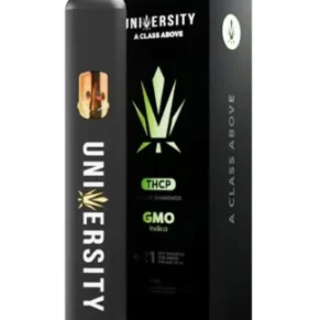GMO University Liquid Diamonds THCP Disposable 2G