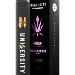 Pablotto University Liquid Diamonds THCP Disposable 2G
