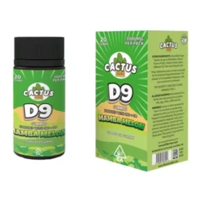 Mamba Melon Cactus Labs D9 With CBD+D8 3000mg